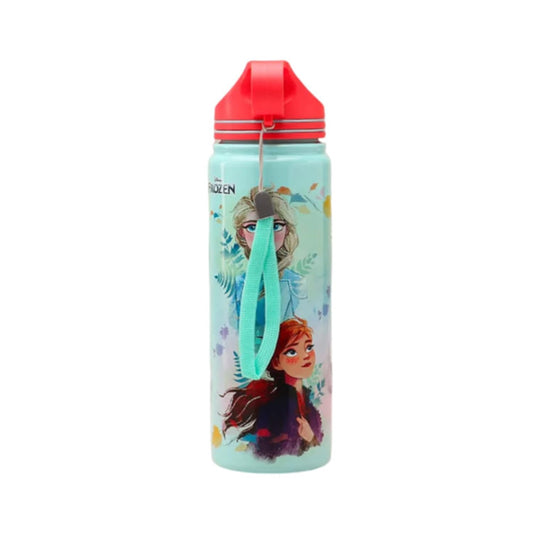 Disney Frozen Vacuum Insulated Water Bottle