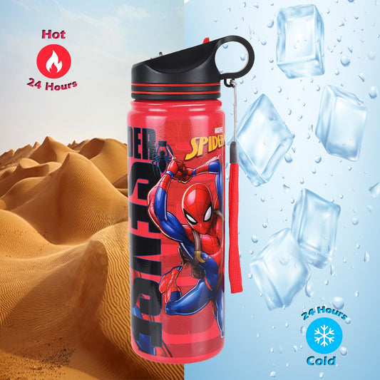 Spider-Man Double Wall Stainless Steel Water Bottle