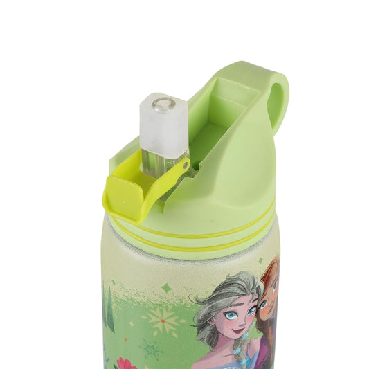 Disney Frozen Stainless Steel Water Bottle for Kids