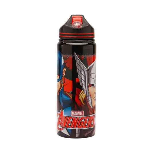 Marvel Avengers Stainless Steel Water Bottle