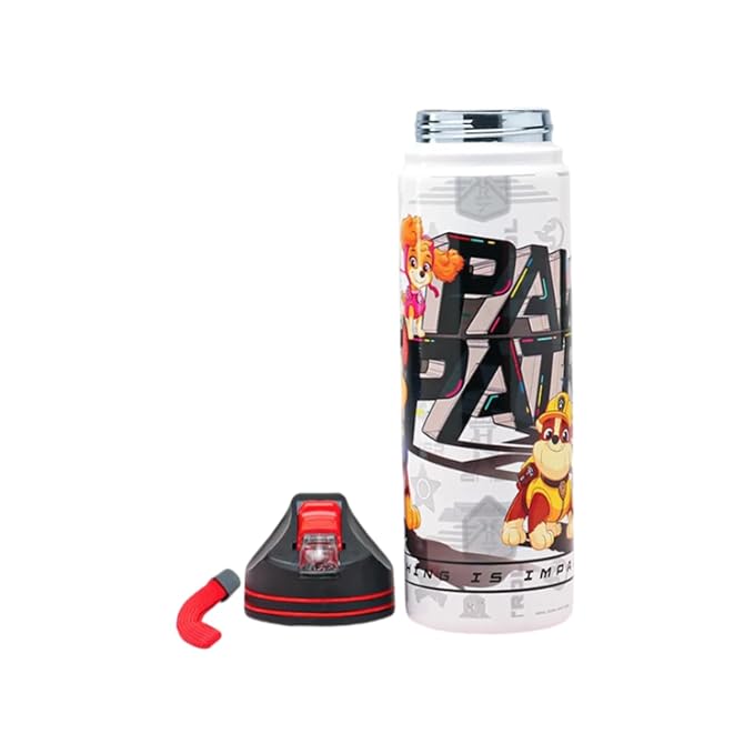 Paw Patrol Vacuum Insulated Water Bottle