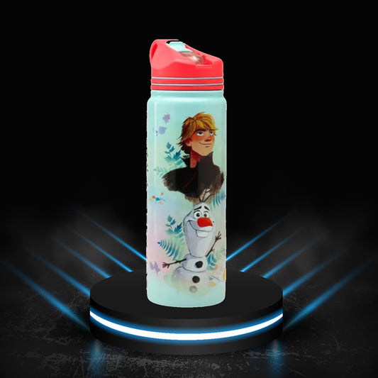 Disney Frozen Vacuum Insulated Water Bottle