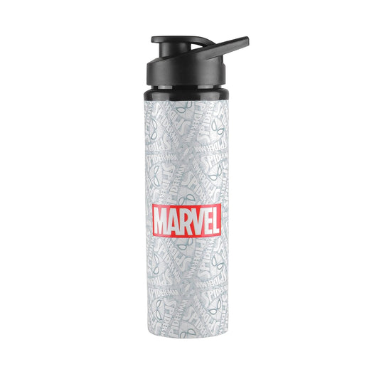 Marvel Creator Superheros Stainless Steel Water Bottle for Unisex Adults