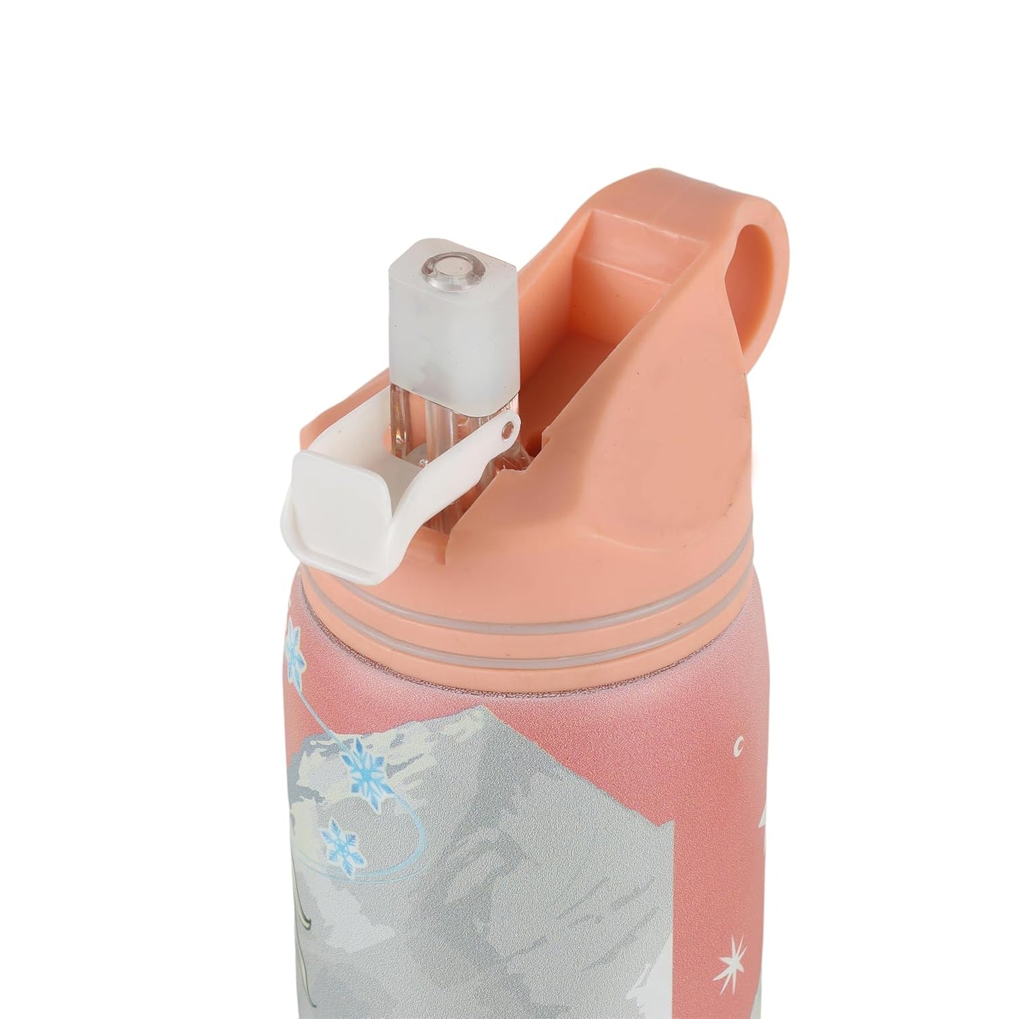 Disney Frozen Stainless Steel Water Bottle for Kids, Leakproof Cartoon Printed Sipper Bottle with Strap, BPA Free Non-Insulated for School, Travel 500ml