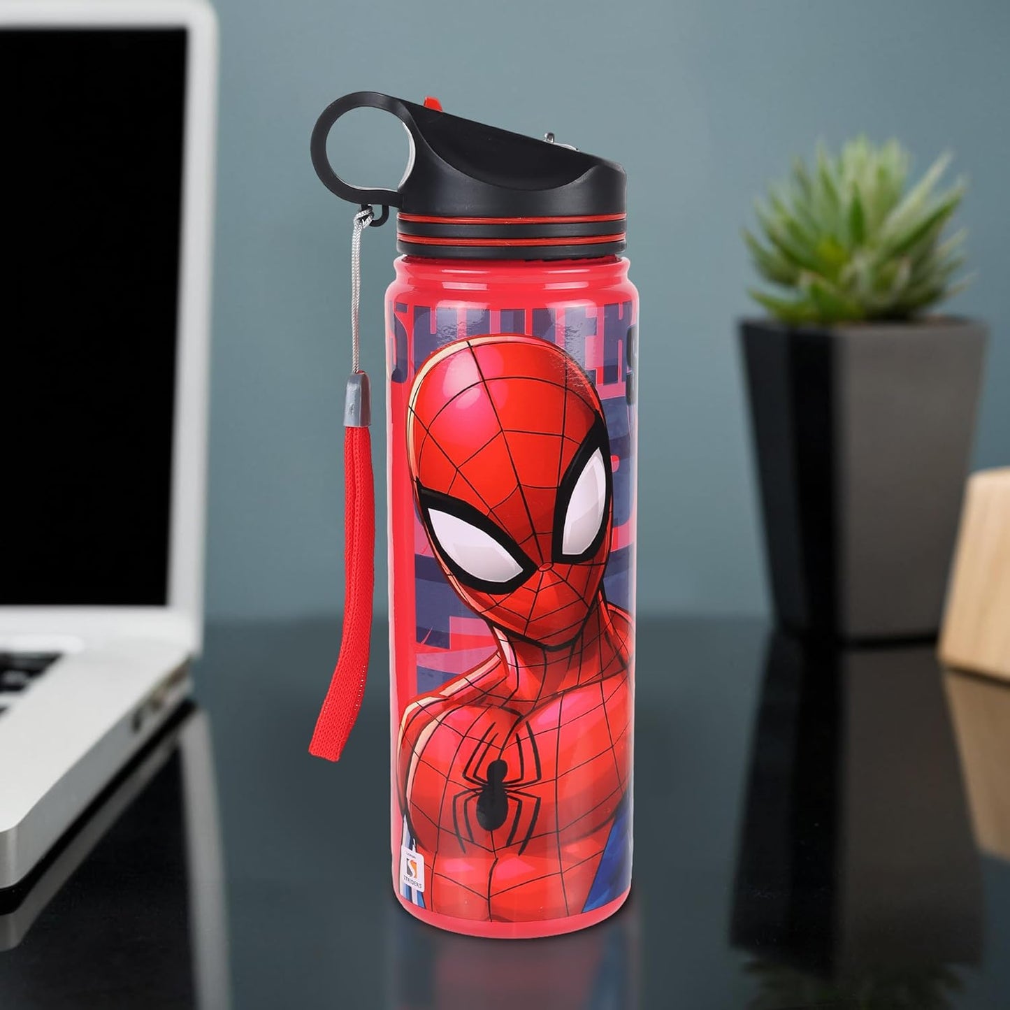 Spider-Man Double Wall Stainless Steel Water Bottle