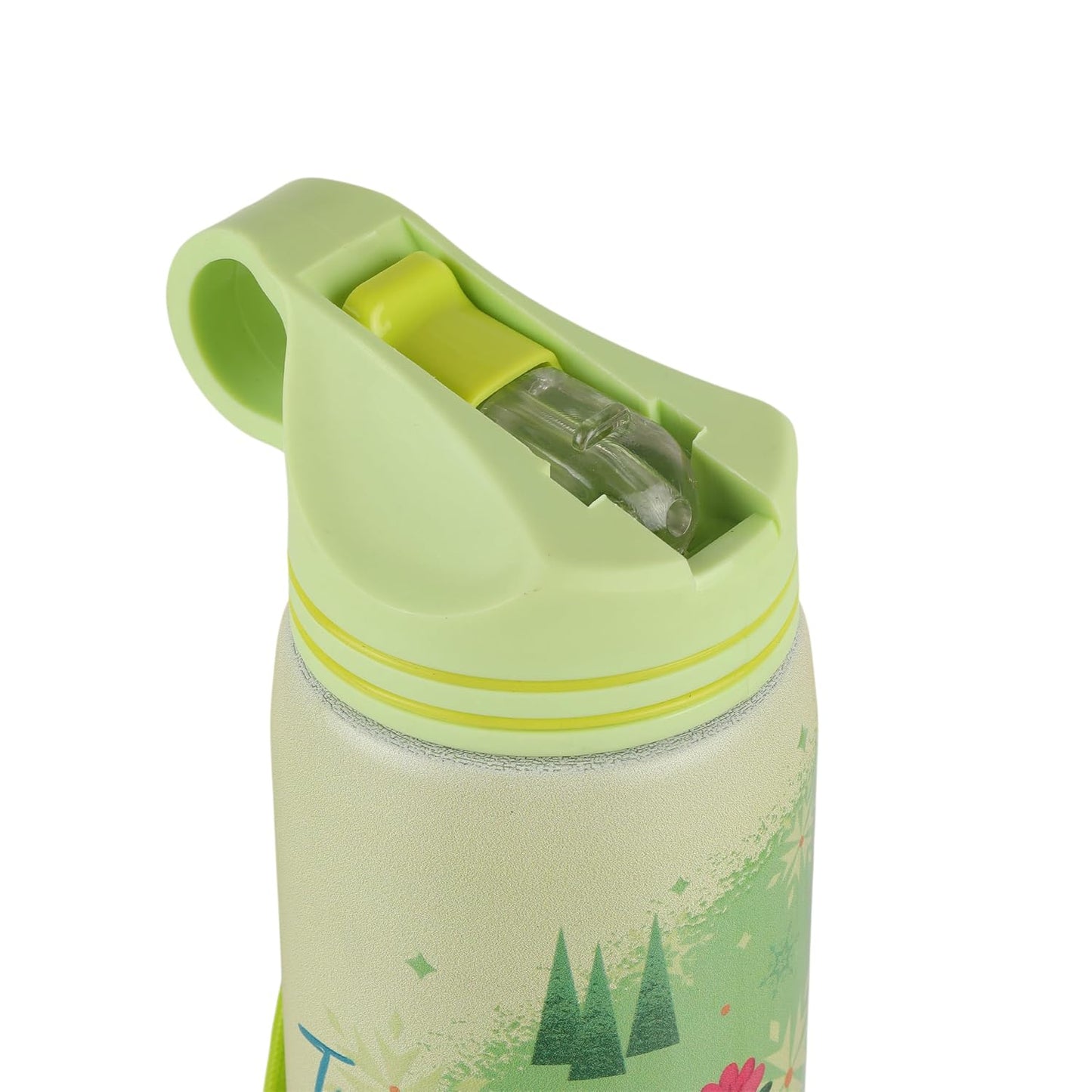 Disney Frozen Stainless Steel Water Bottle for Kids