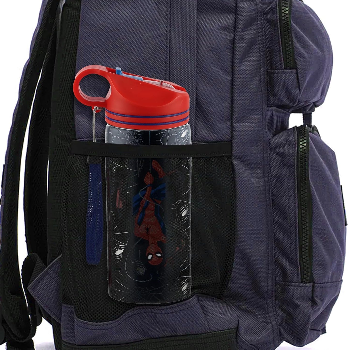 Spiderman Stainless Steel Bottle