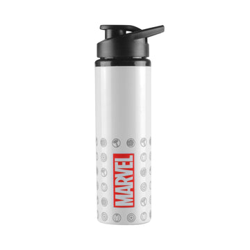 Marvel Spider-Man Creator Stile and Steel Water Bottle 750ml for Adults